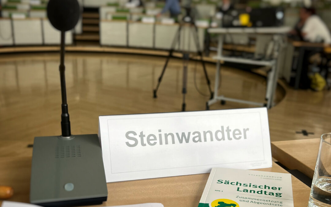 Nebentätigkeiten von Journalisten: Stellungnahme im sächsischen Landtag